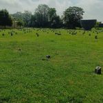 Terezin01