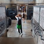 Terezin05