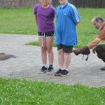 sokolnictvi_02